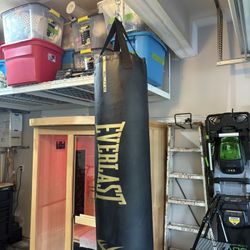 70 lb Everlast Heavy Punching Bag And Gloves 