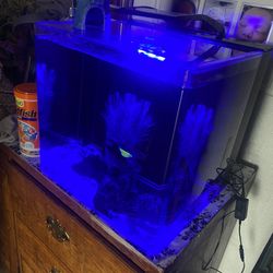 Pesera Sin Los Peces 