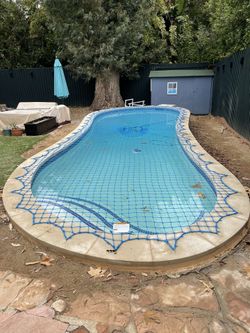 Removable Pool Fence And Net