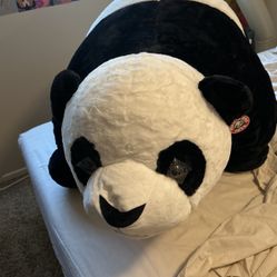 Giant Panda 