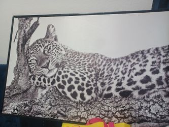 Canvas  Leopard Wall Art