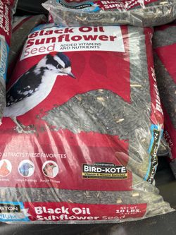 Su flower seeds