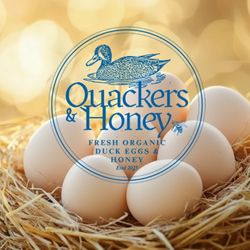 Fresh Duck Eggs