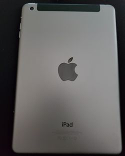 8 in. IPad