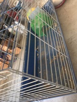 Guinea pig hutch and accessories $25