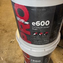 Paint Eggshell And Flat Semi Gloss