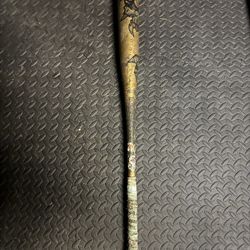 Demarion Voodoo