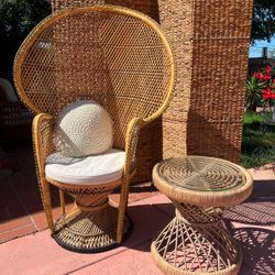 Peacock Chairs💫