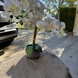Small Artificial Orchid Plant