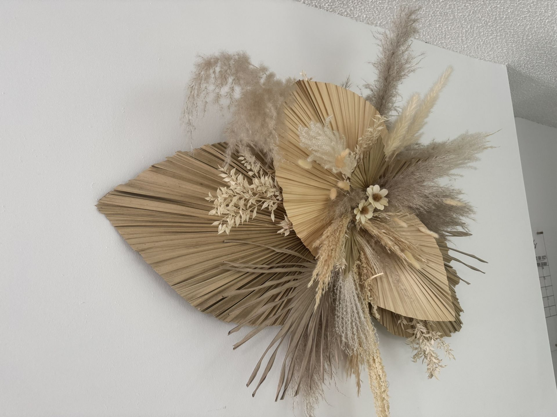 3 Foot Dried Pompas