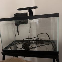 10 Gallon Fish Tank