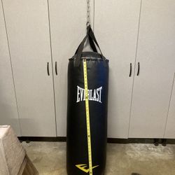 Everlast Heavy Bag
