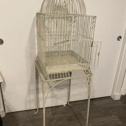 Birds Cage 