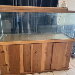 Fish Tank & Stand 