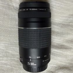 Canon EF 75-300mm f/4-5.6 III