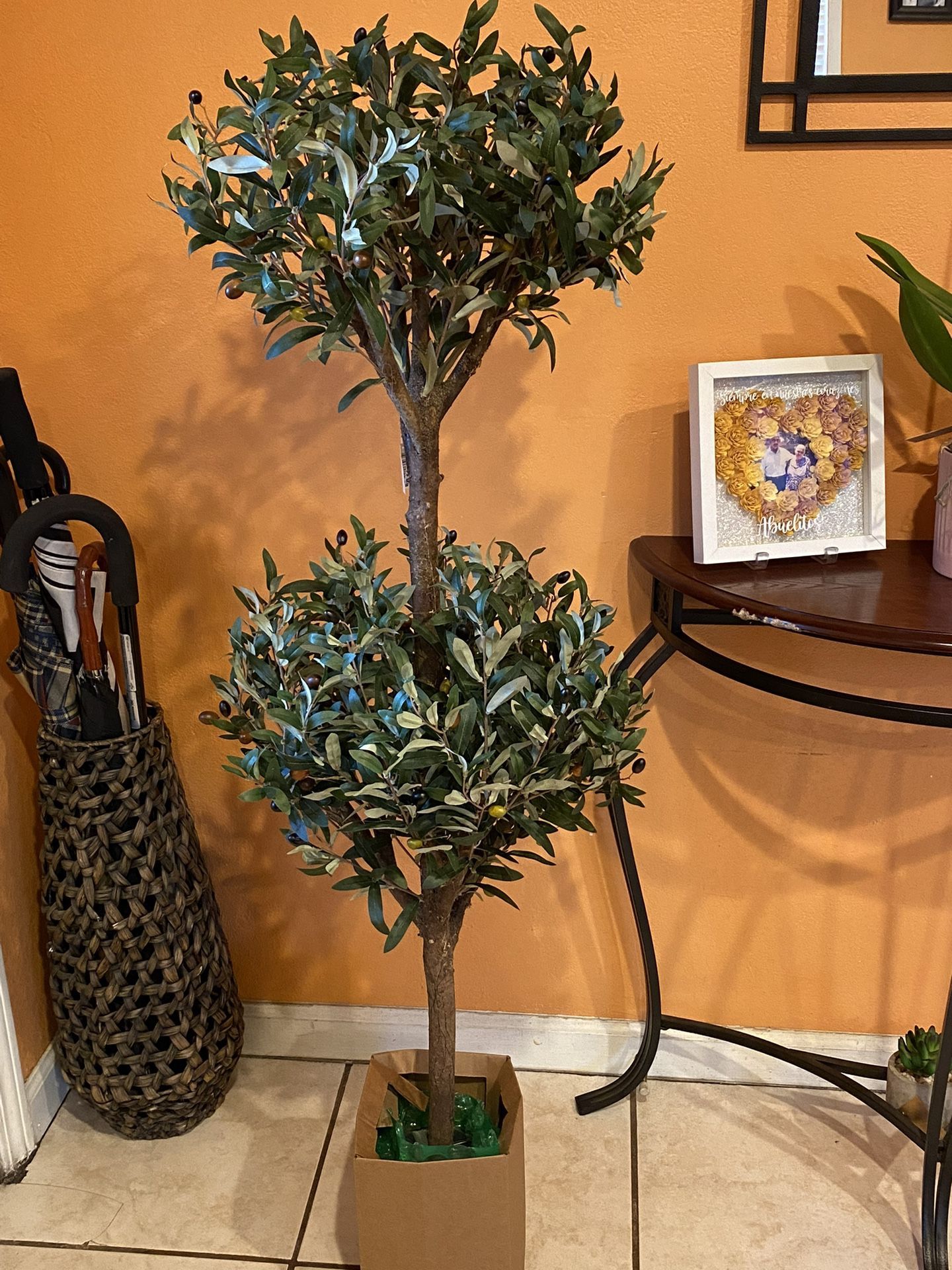 4.5' Olive Silk Tree