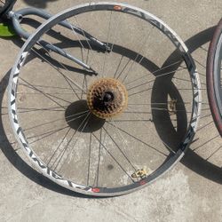 Rims