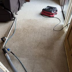STEAM CARPET 