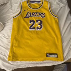 Nike Lebron James Lakers Jersey