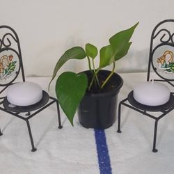 IVY PLANT AND DECORATIVE CHAIRS AND XANDLES