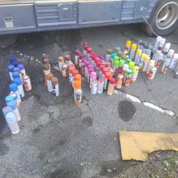 Artist Spray Paint
