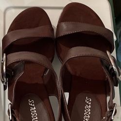 Aerosoles Heels shoes only the Brown is available