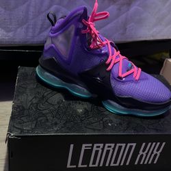 Nike LeBron 19 Size 11 200$ OBO 