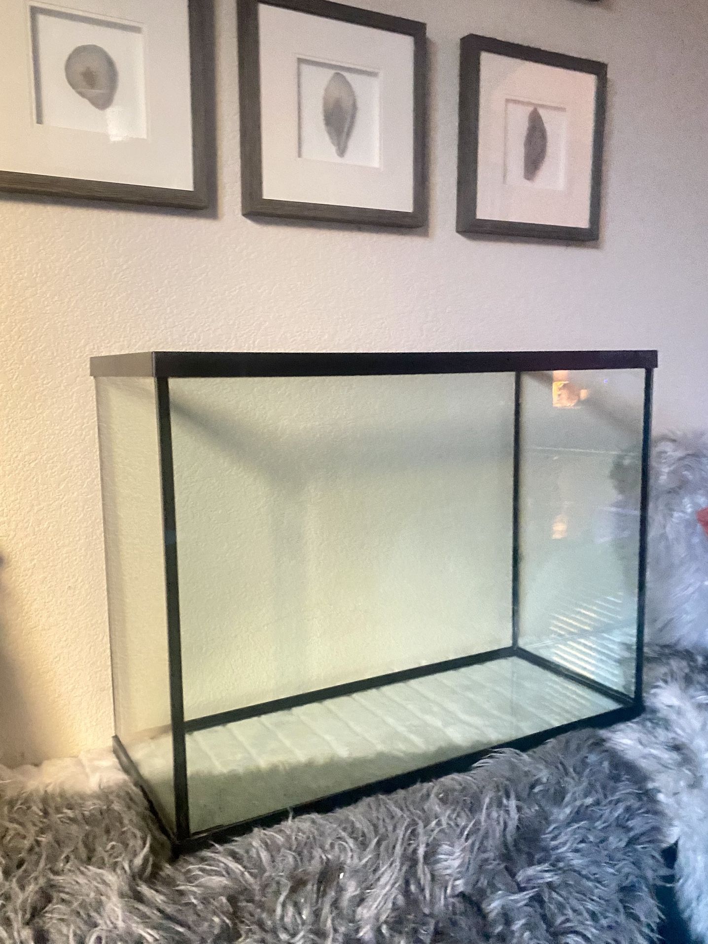 High Style 37 Gallon Fish Tank Aquarium / Reptile Reptarium Imagitarium
