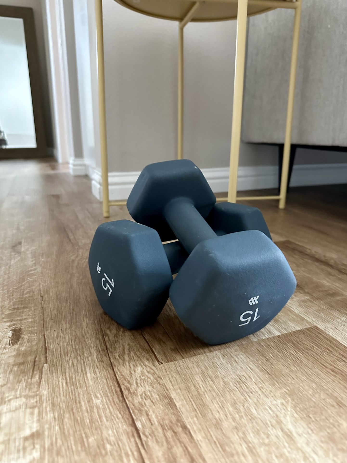 15 lb dumbbells