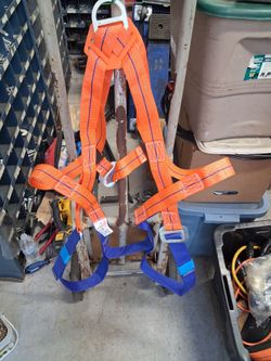 Safety harness