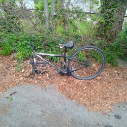 Gary Fisher Zebrano Frame 24 Speed