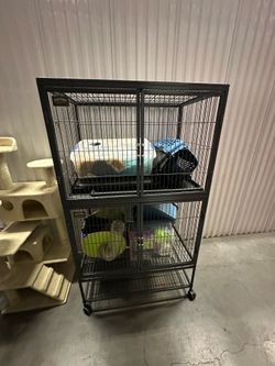 Ferret Nation complete +