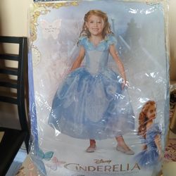 Cinderella  Costume. 