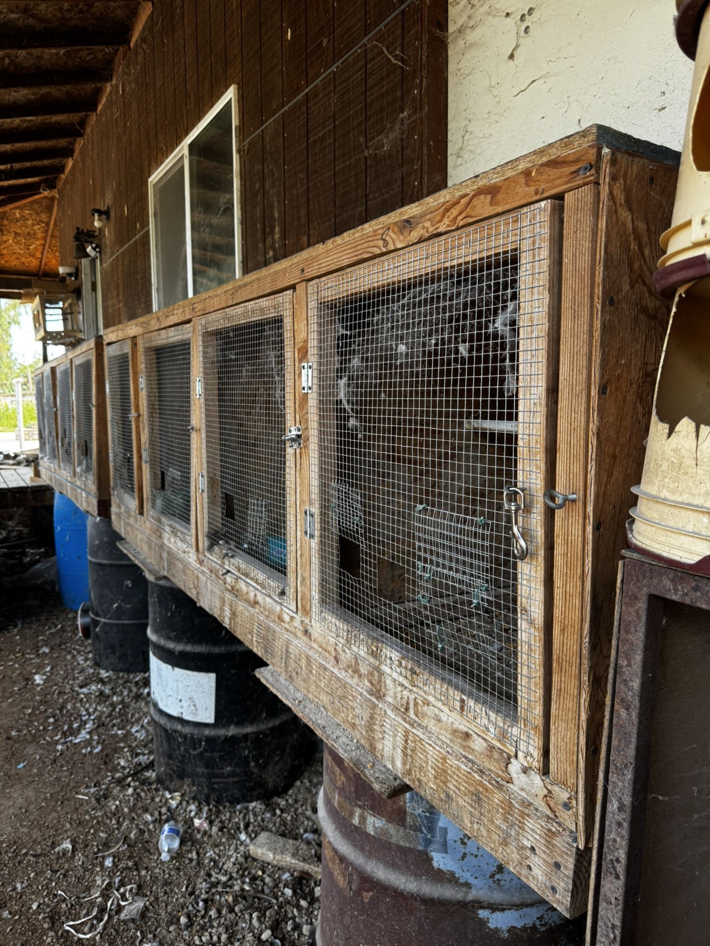 Chicken Cage