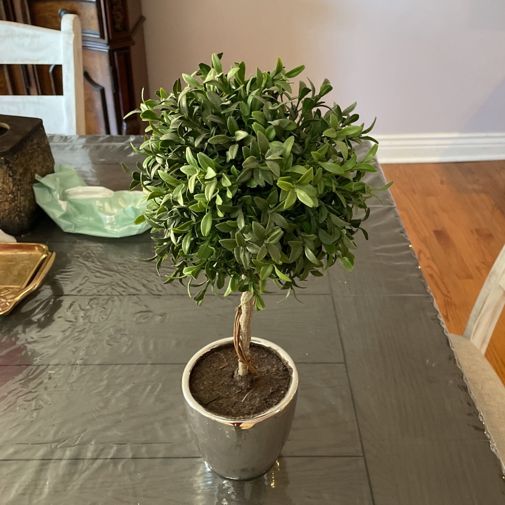 Fake Decorative Plant
