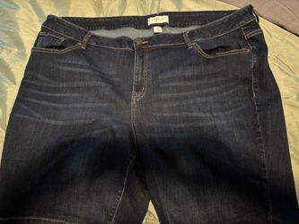 Lane Bryant Dark Wash Jeans