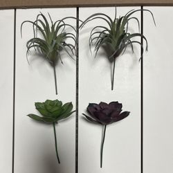 Faux Succulents