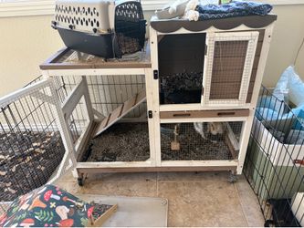Two story hut for small pets