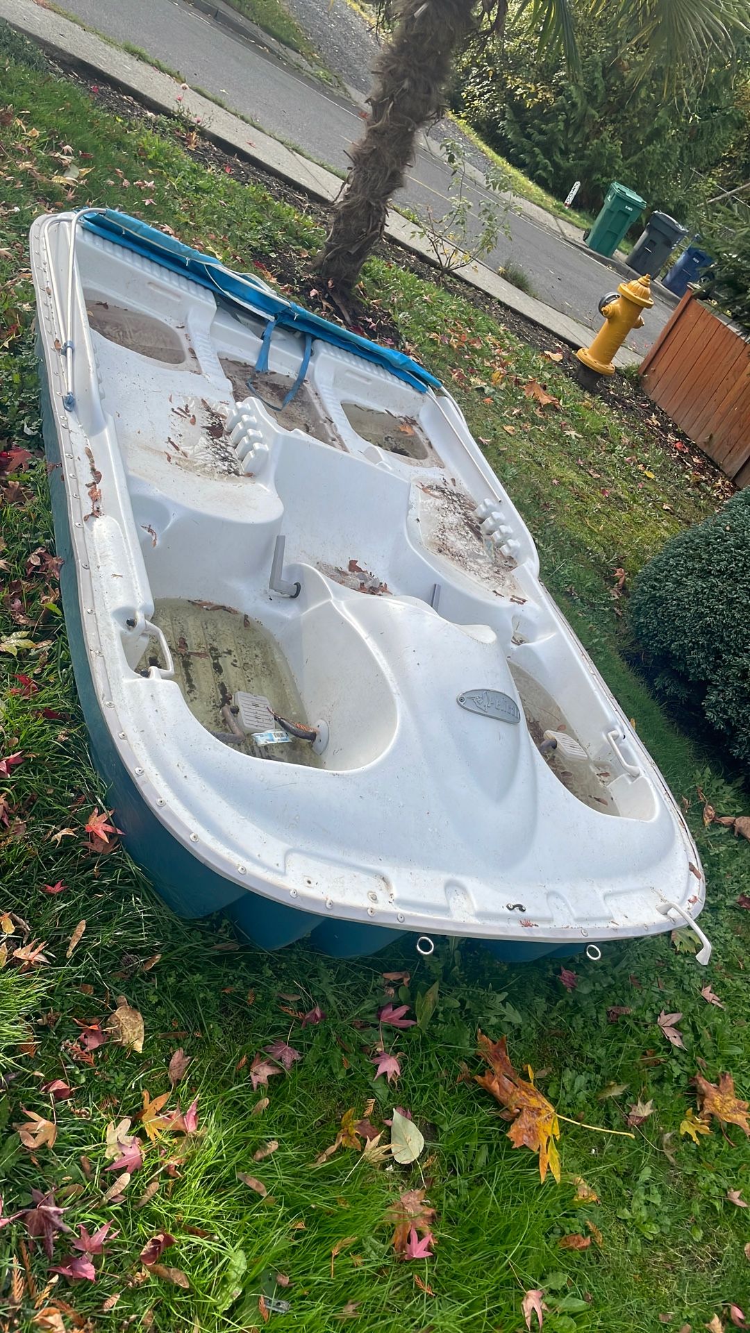Paddle Boat