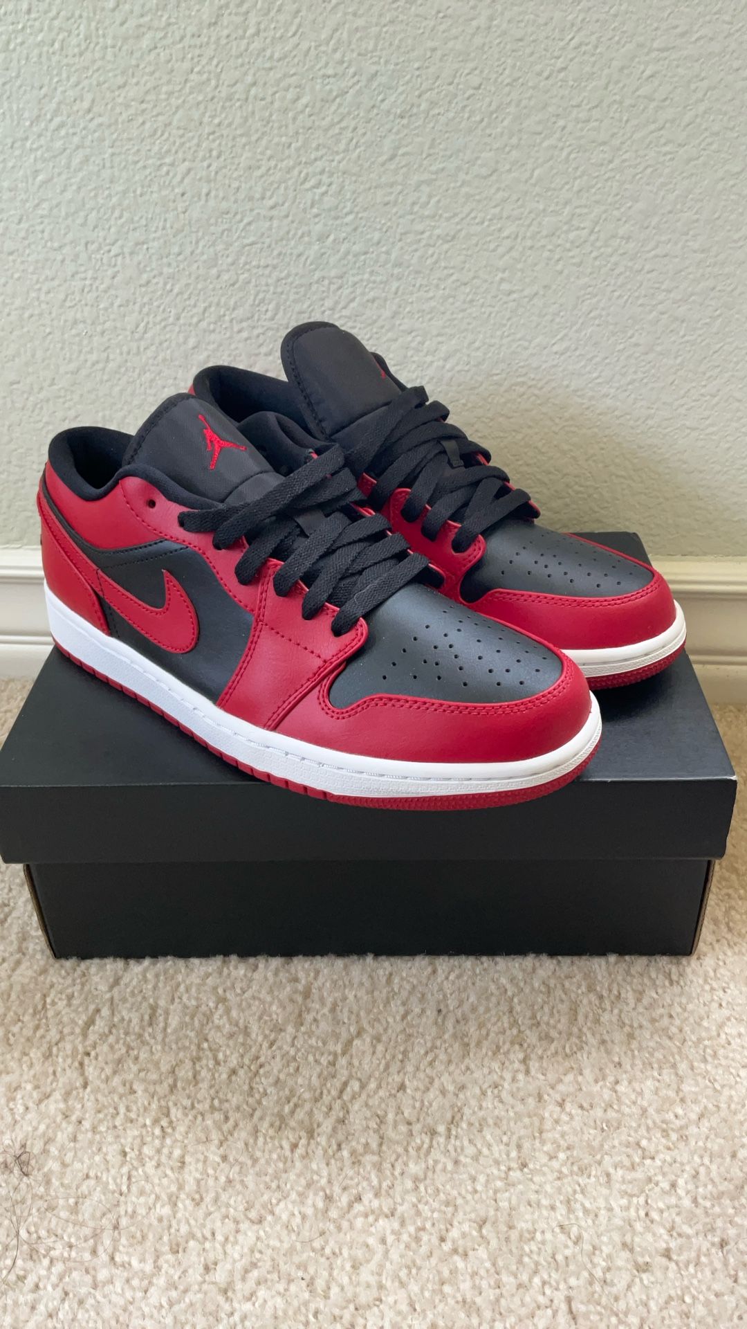 Brand New Air Jordan 1 Low