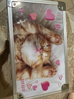 pencil box