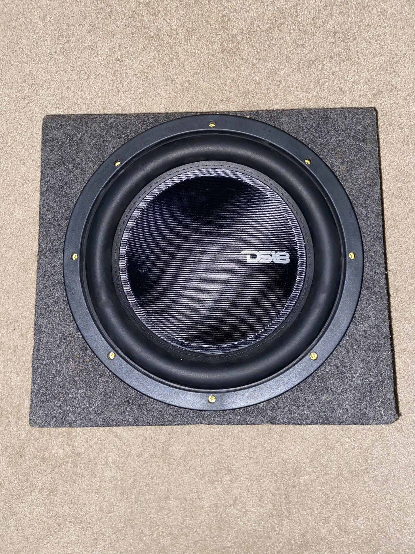 12” DS18 iXS12.4S Shallow Mount Subwoofer