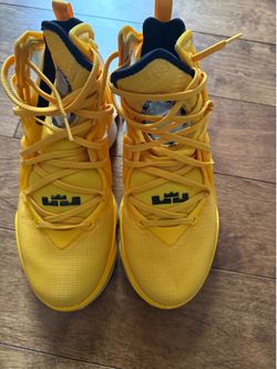 Lebrons 9 1/2