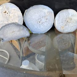 Polished Agate Geode 