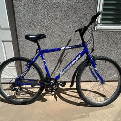 Schwinn Frontier Mountain Bike (crazy deal!)