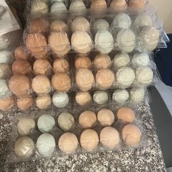 Fresh Free Range Eggs