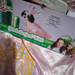 Princess Dog Costume 