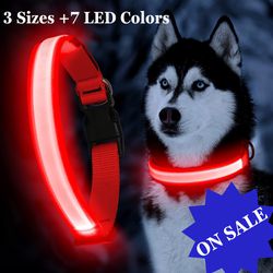 Dog Collars, Bedding, Grooming, Harness, And More!