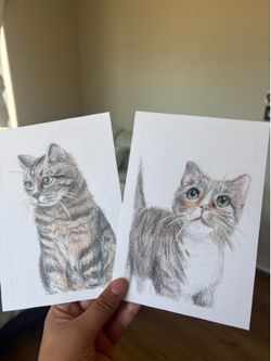 Selling pet portraits