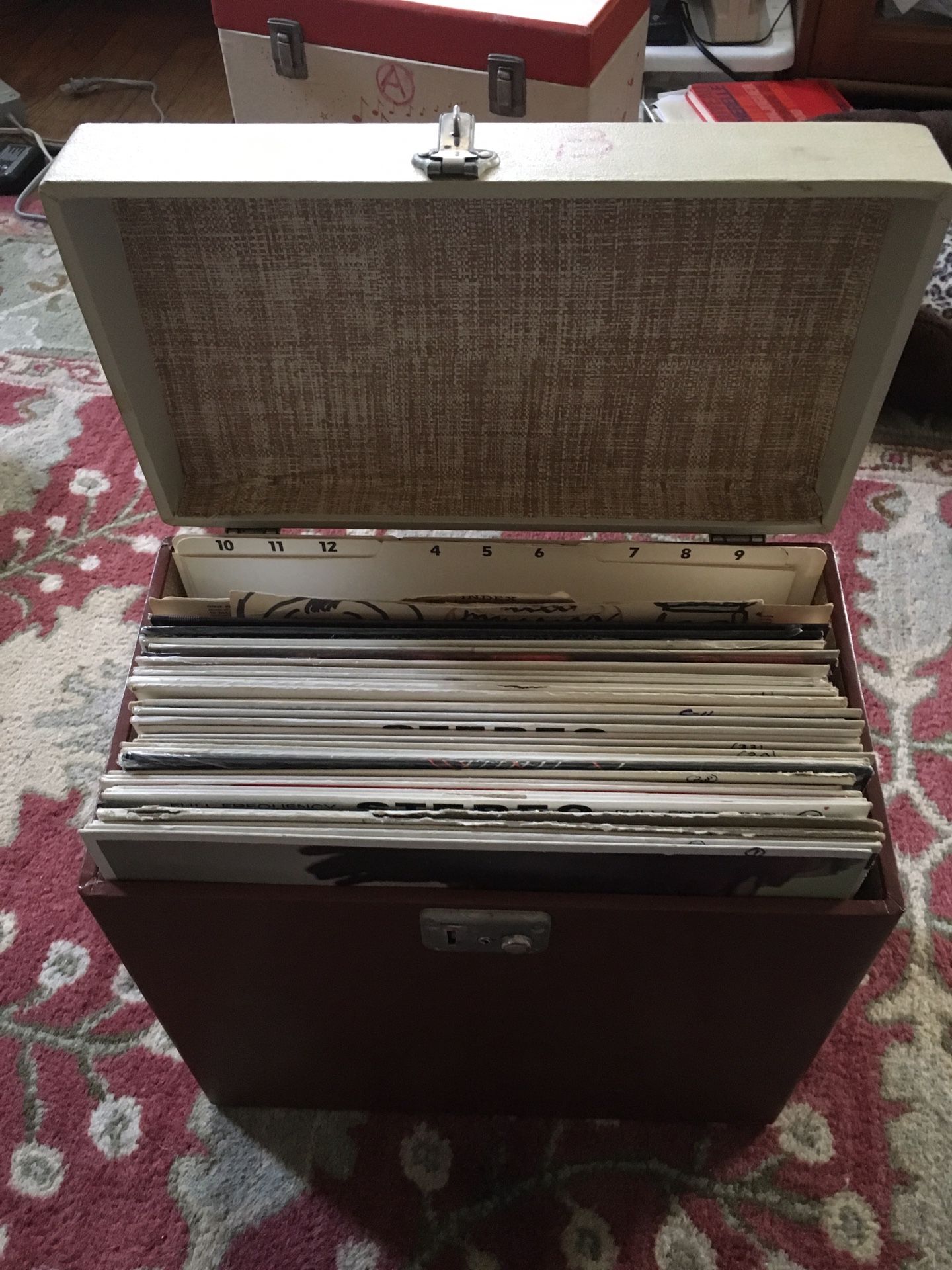 Classic Vinyl Records with storage case